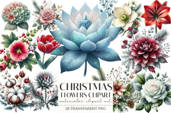Christmas Flowers Clipart: A Brand Designer’s Review for Illustrations