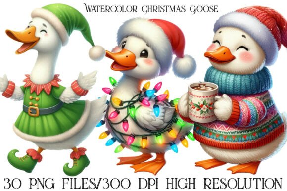 Watercolor Christmas Goose PNG Clipart Review